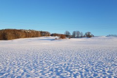 Blick auf den Moritzberg