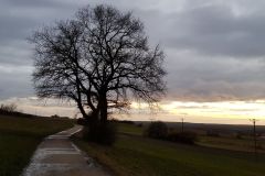 Winterstimmung