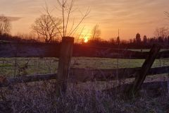 Abendstimmung