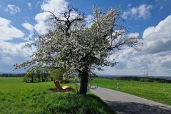 Frühlingserwachen