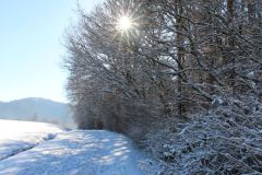 Winterstimmung