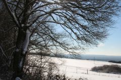 Winterfreuden
