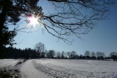 Winterstimmung