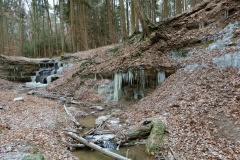 Singender klingender Wasserfall im Winter